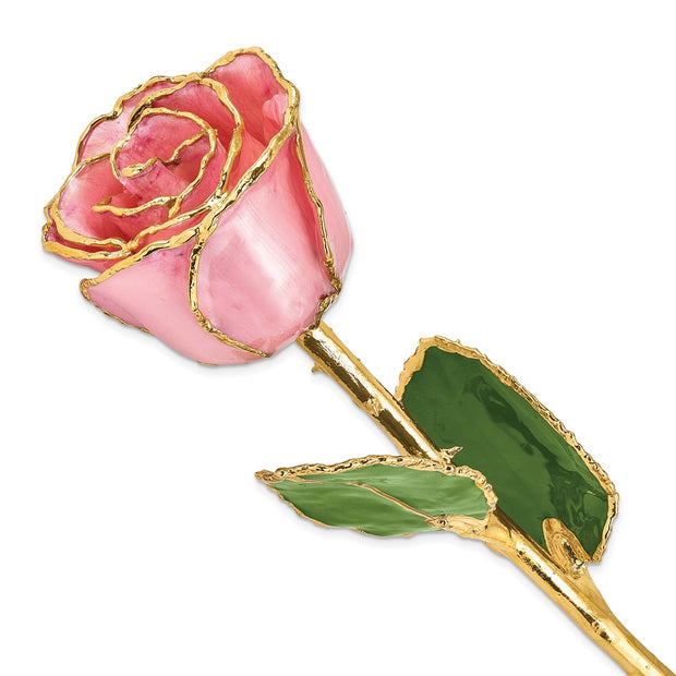 Lacquer Dipped Gold Trim Pink Pearl Rose