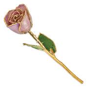 Lacquer Dipped Gold Trim Lavender Rose