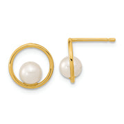 14K Madi K Open Circle 5mm Freshwater Cultured Pearl Post Earrings