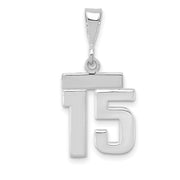 14kw Small Polished Number 15 Charm