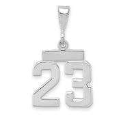 14kw Small Polished Number 23 Charm